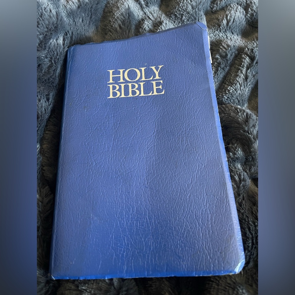 HOLY BIBLE VINTAGE 2001 Zondervan New International Version Index Tabs BLUE